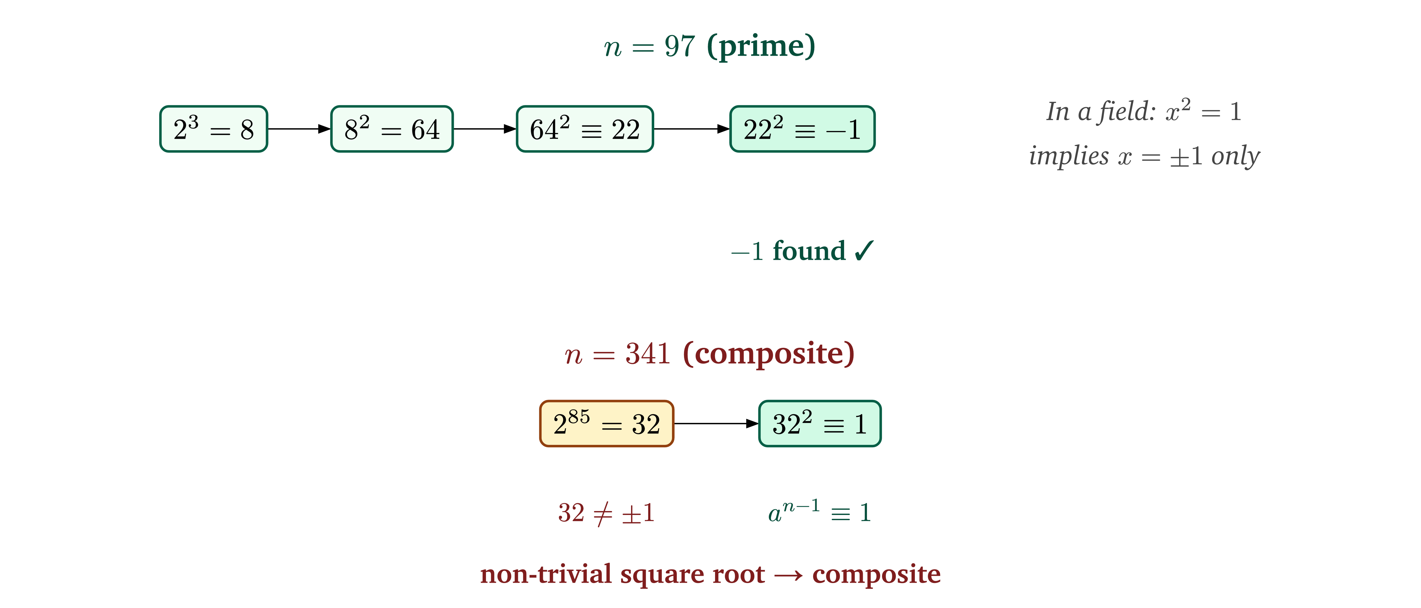 Squaring chains compared: prime n=97 reaches -1 cleanly, composite n=341 has a non-trivial square root