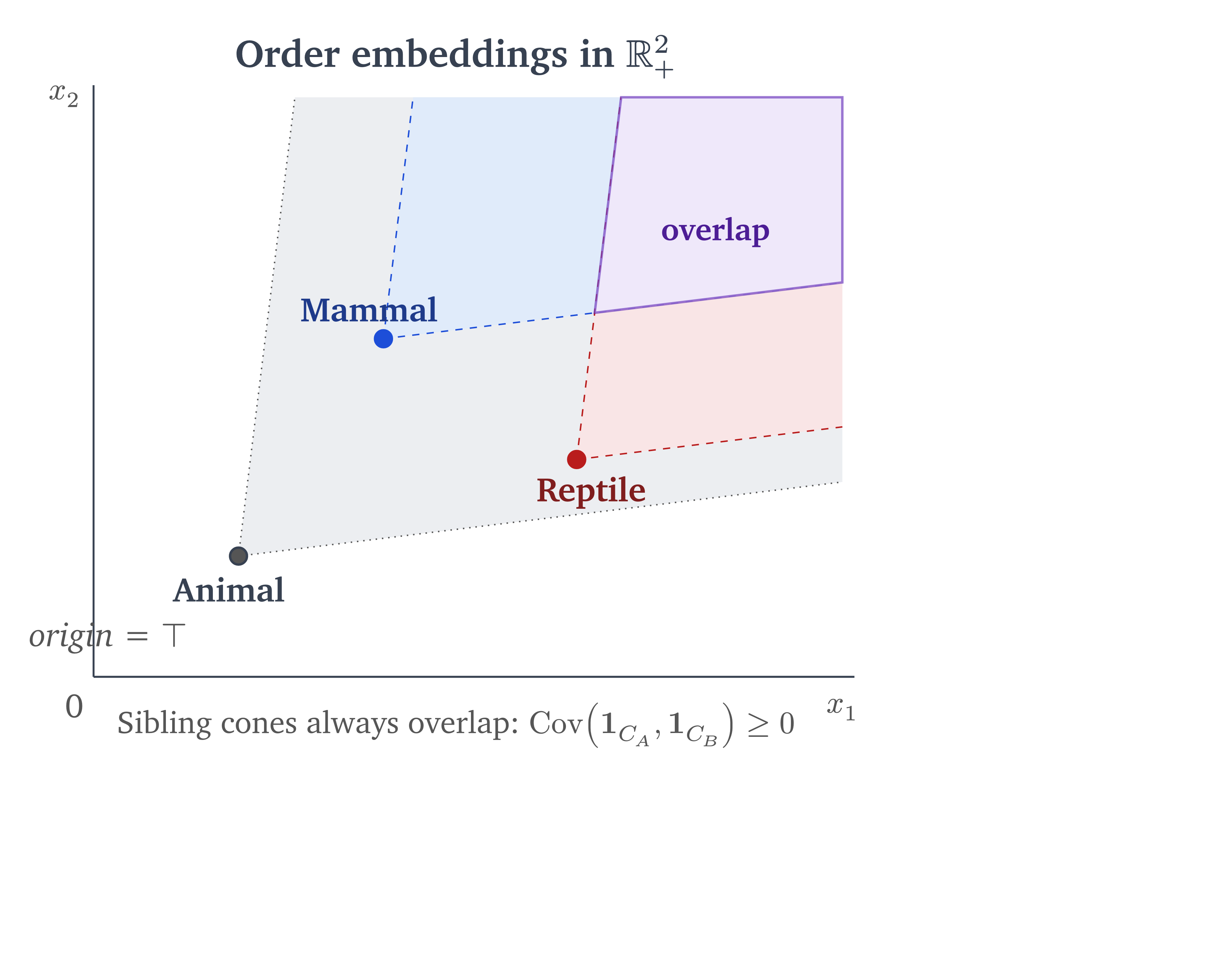 Order embeddings in the positive orthant: sibling cones overlap